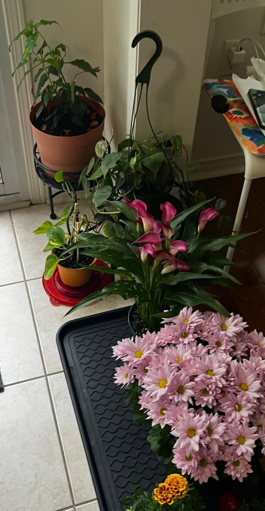 Gardening